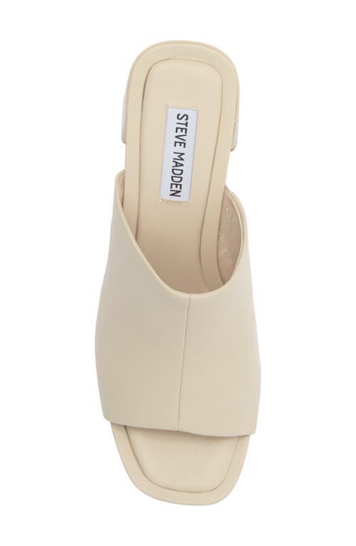 Steve Madden Ammanda Mule In Brown