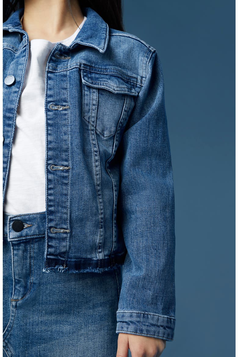 Kids' Distressed Denim Jacket, Alternate, color, CLOUD