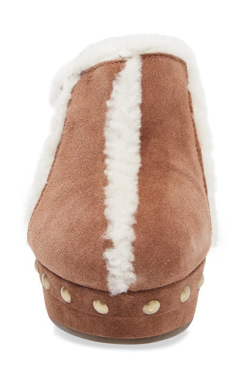 Chocolat Blu Greer Genuine Shearling Platform Clog In Brown