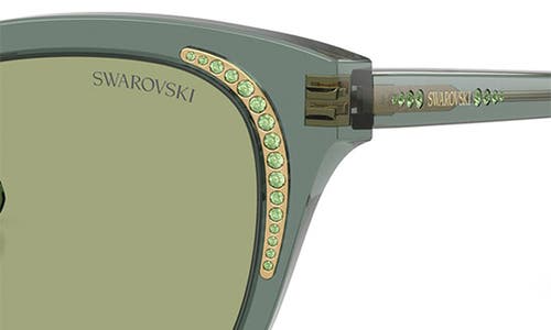 Swarovski 53mm Butterfly Sunglasses In Transparent Green/dark Green