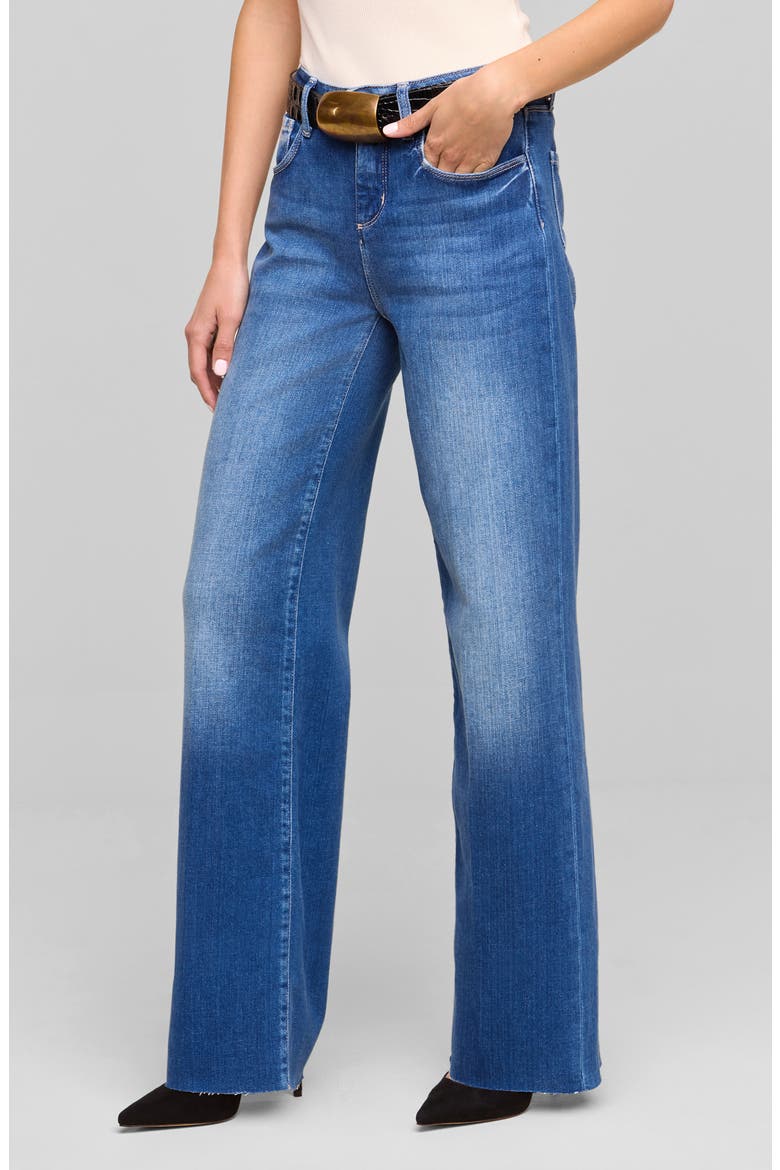 Scottie High Rise Wide Leg Jeans, Main, color, HASTING