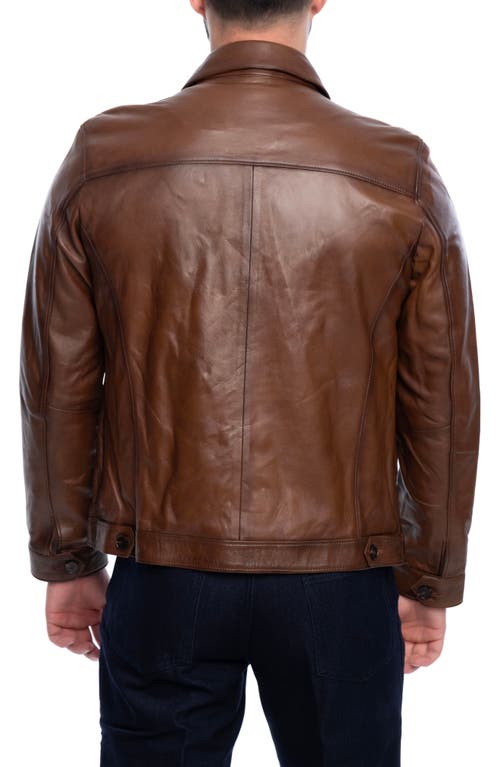 Vellapais Smooth Leather Jacket In Brown