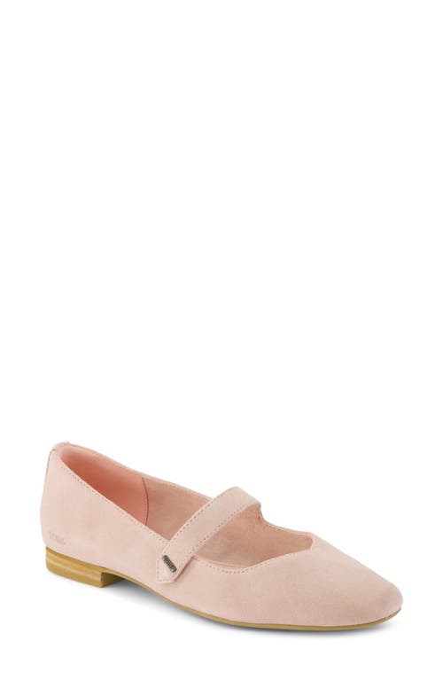 Toms Bianca Mary Jane Flat In Pink