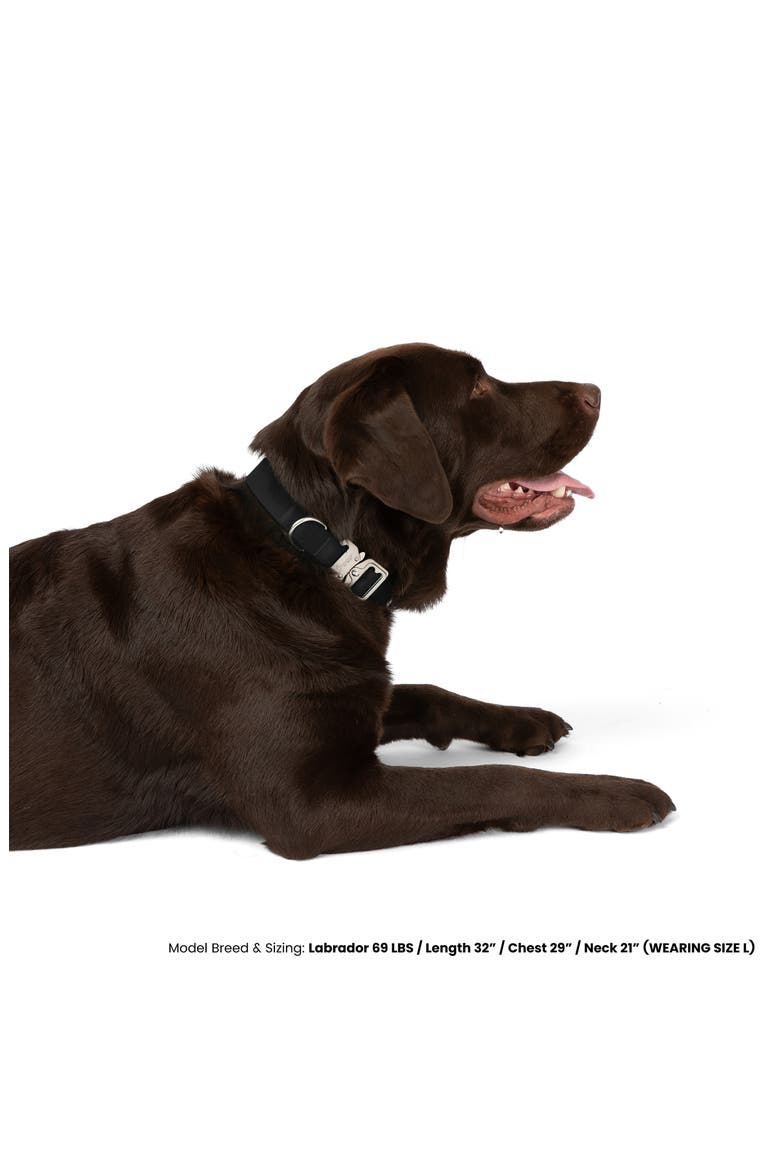 Waterproof Poly-Flex Sport Dog Collar, Alternate, color, Black