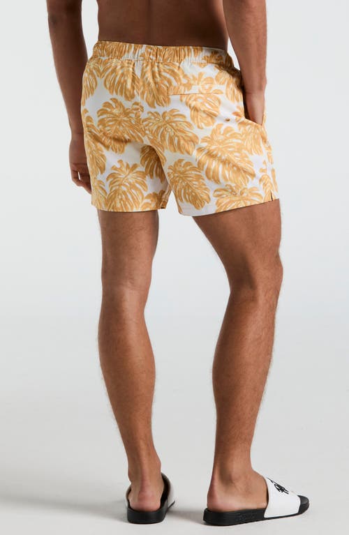 Original Penguin 5 All Over Print Monstera Swim Trunk In Jurassic Gold