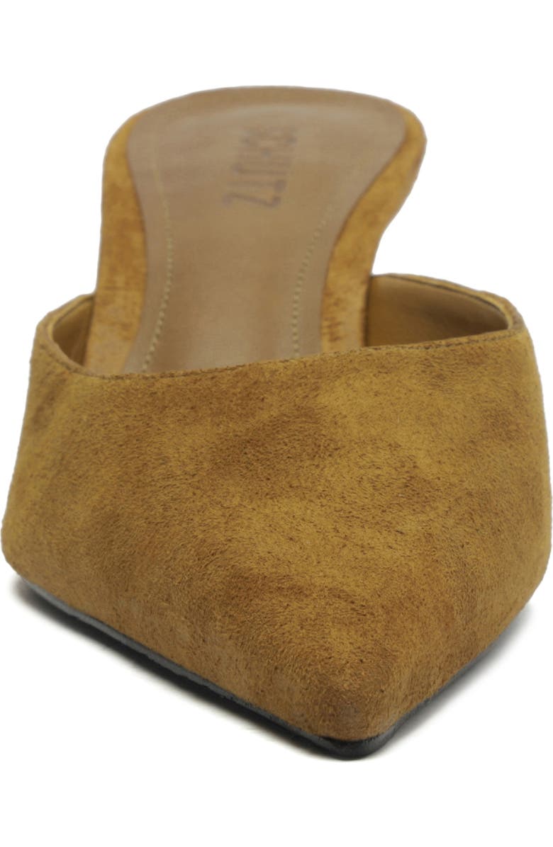 Schutz Julie Pointed Toe Mule, Alternate, color,