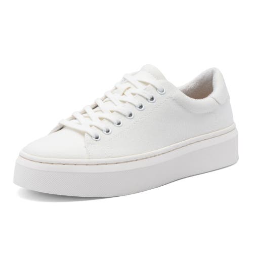 Abeo Jumpstreet Sneaker In White Canvas - Metatarsal