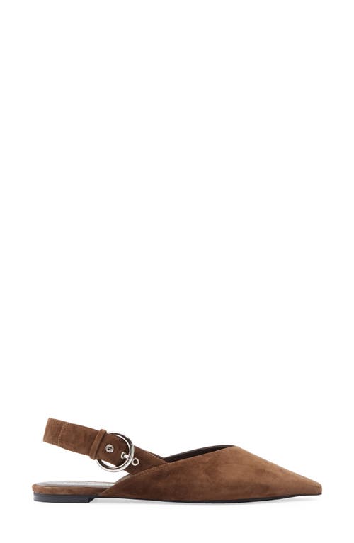 Jeffrey Campbell Scone Slingback Pointed Toe Flat In Brown