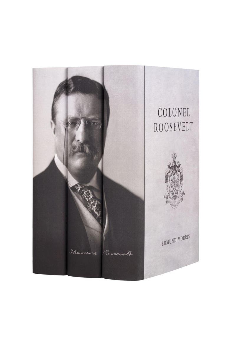 Theodore Roosevelt Book Set, Alternate, color, Cool Neutral