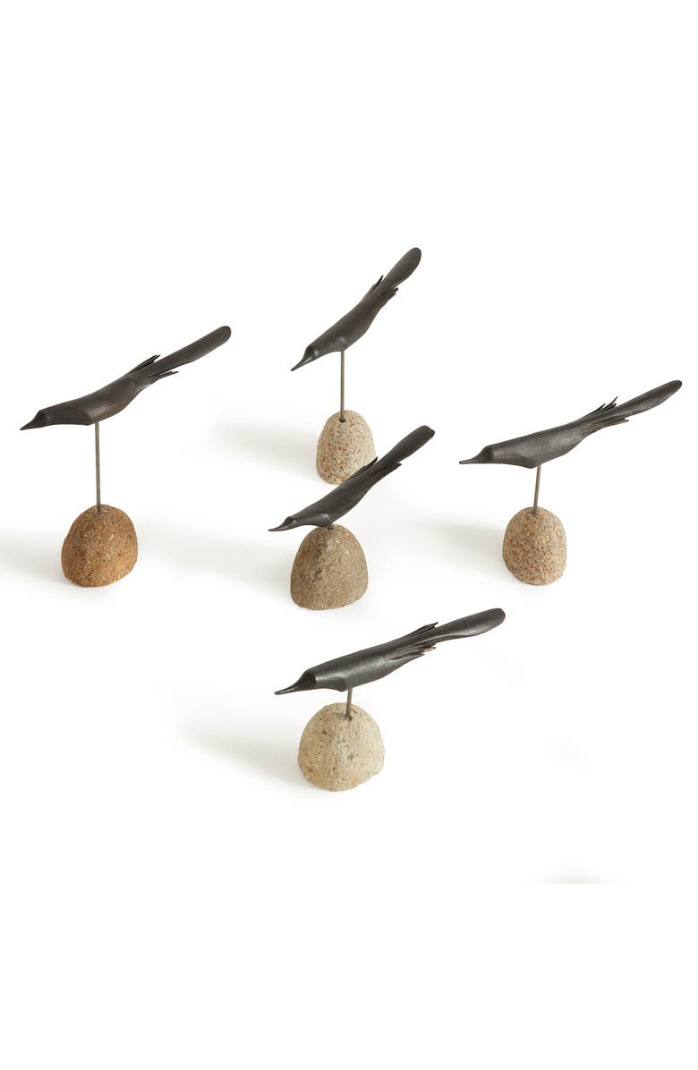 Napa Home & Garden The Flock Set of 5, Alternate, color, Black