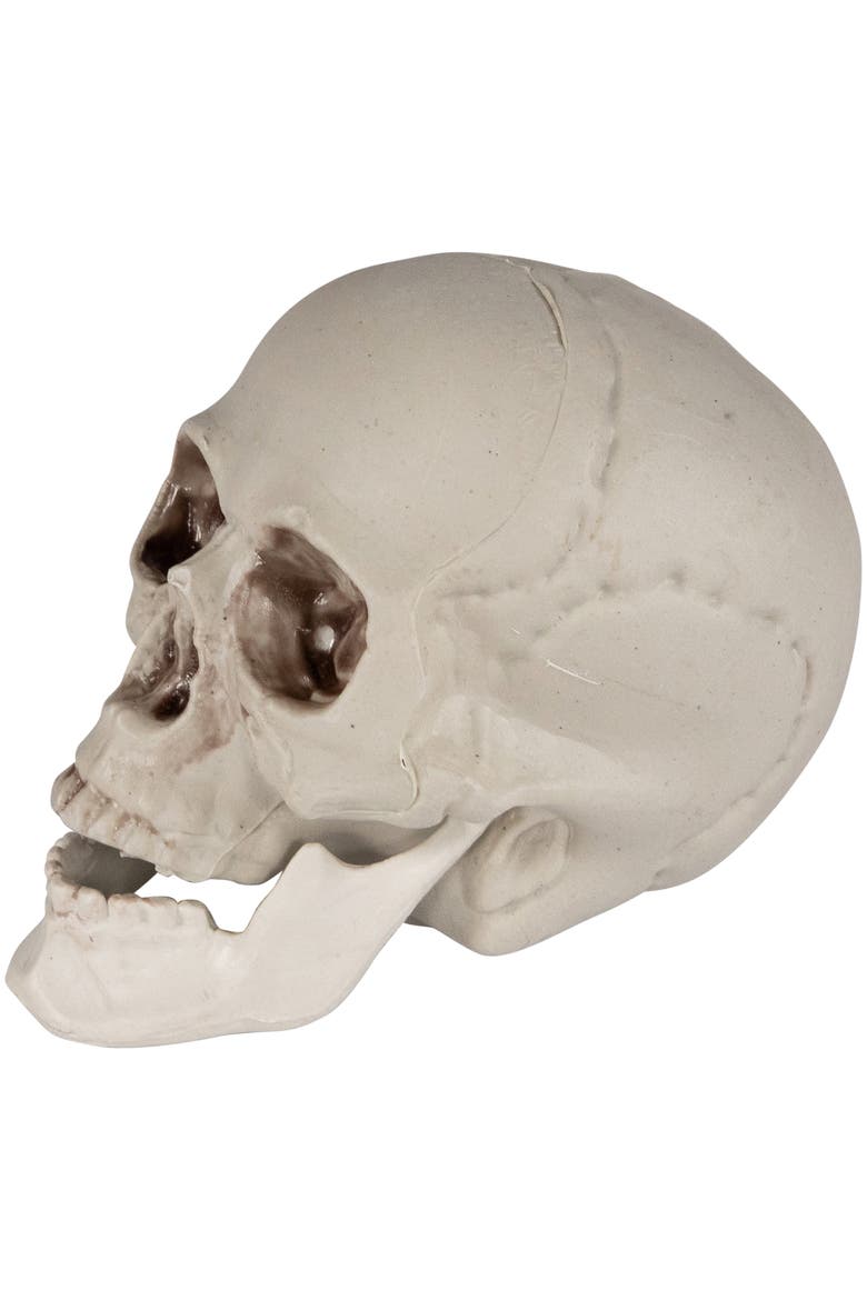 Shruken Skeleton Skulls Halloween Decorations - 4.5" - Set of 6, Alternate, color, Ivory