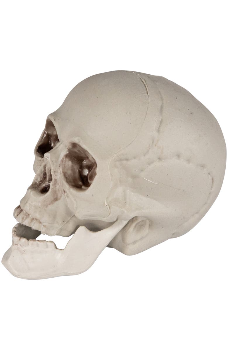 Northlight Shruken Skeleton Skulls Halloween Decorations - 4.5" - Set of 6, Alternate, color, 