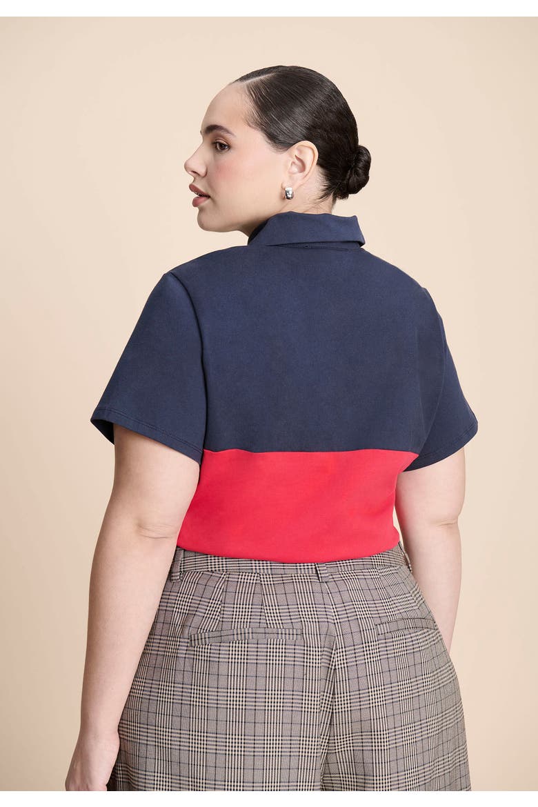 Asym Zipper Neck Polo Shirt, Alternate, color, RED AND NAVY