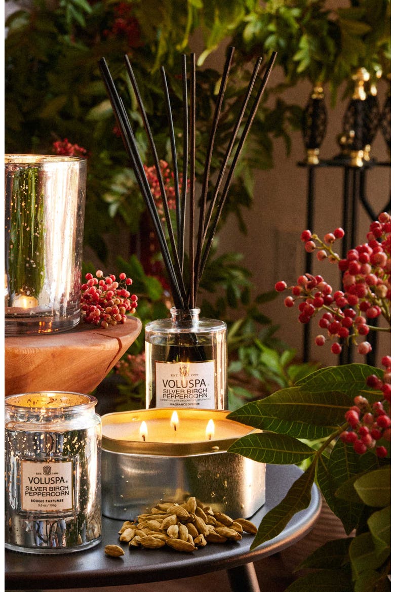 Silver Birch & Peppercorn Classic Candle, Alternate, color, SILVER BIRCH