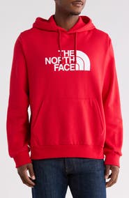 The North Face Evolution Half Dome Graphic Hoodie