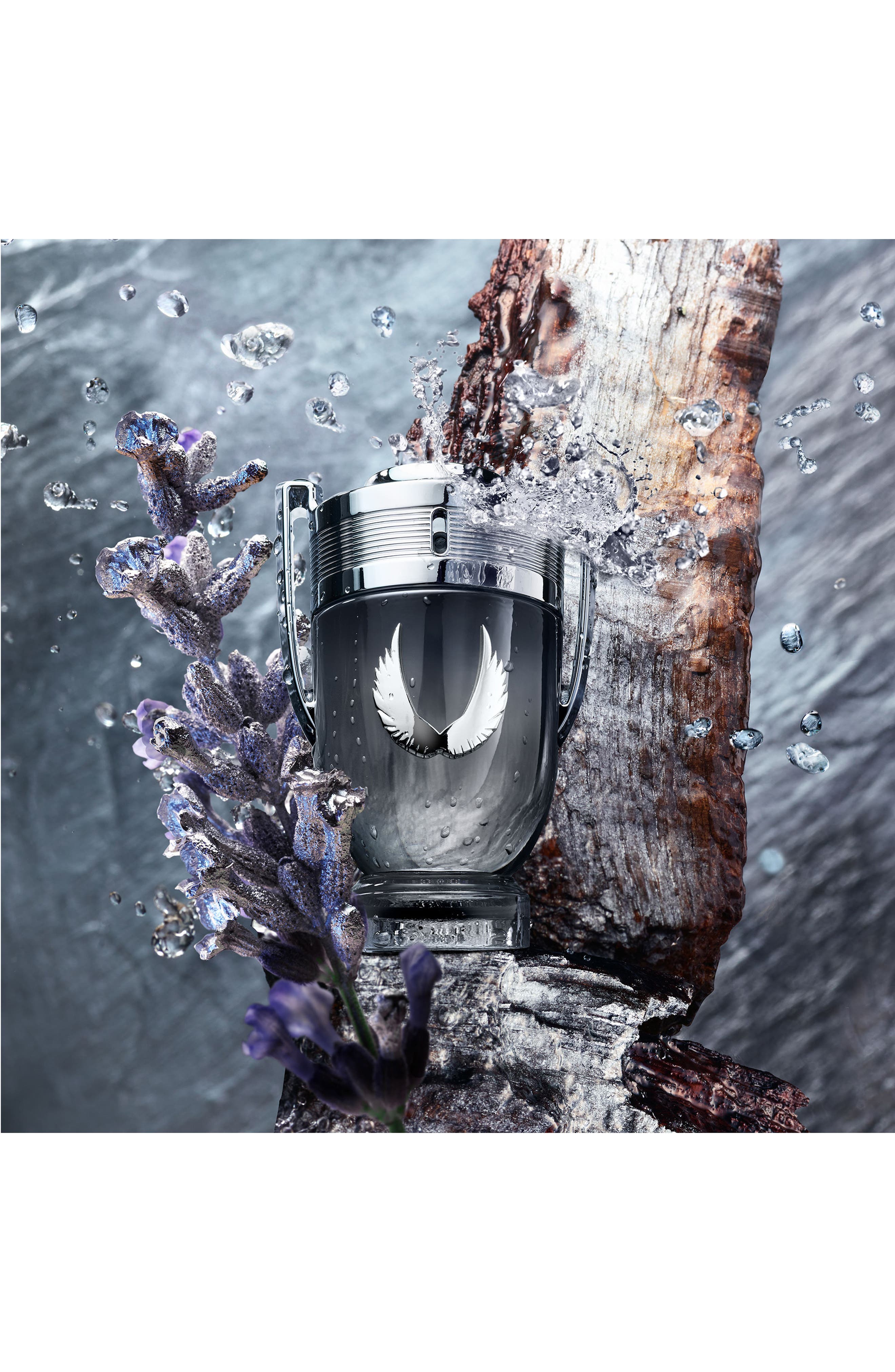 Invictus Platinum Eau de Parfum (Men) | Nordstrom