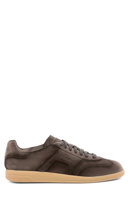 Santoni Suede Round Toe Sneakers With Rubber Sole In Burgundy