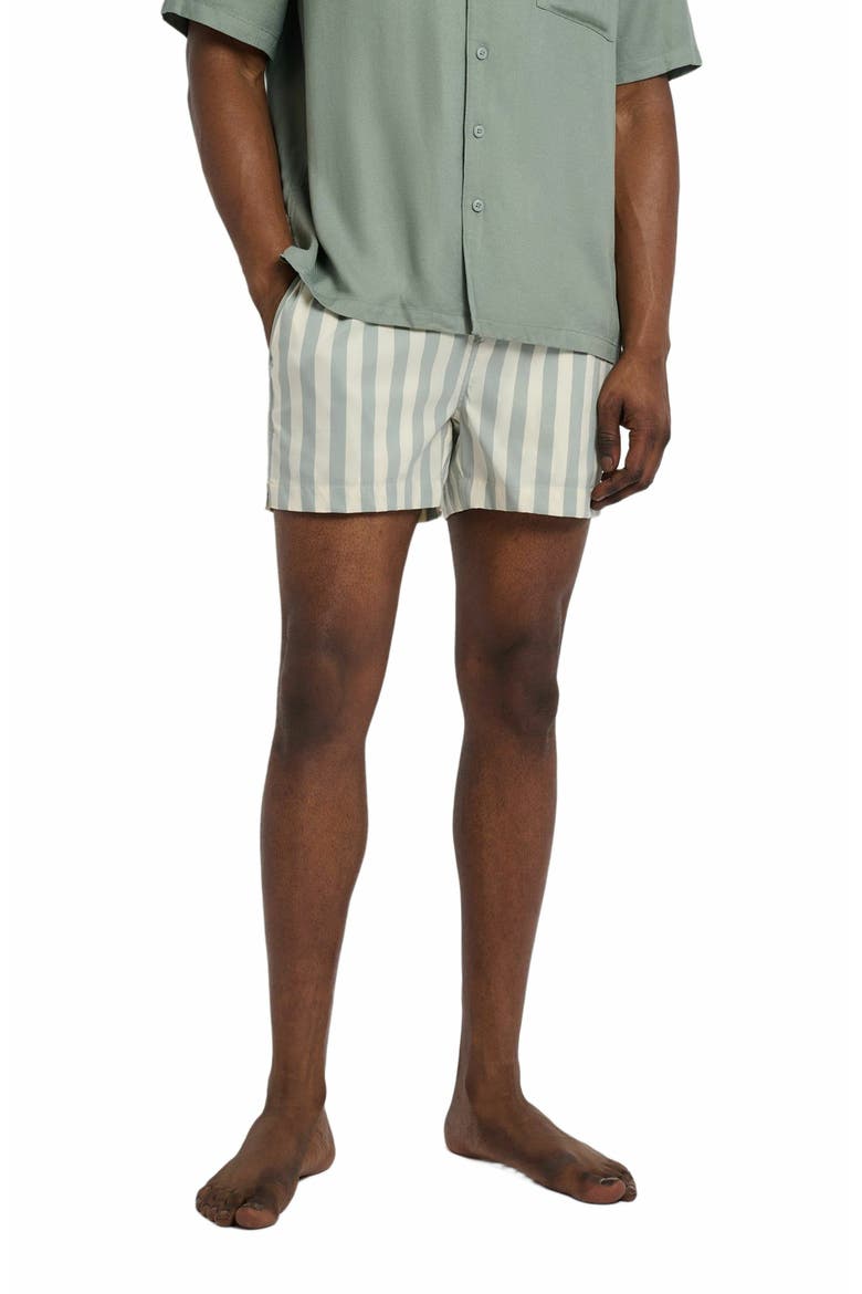 Charles 4" Swim Trunk, Alternate, color, SAGE/CREAM