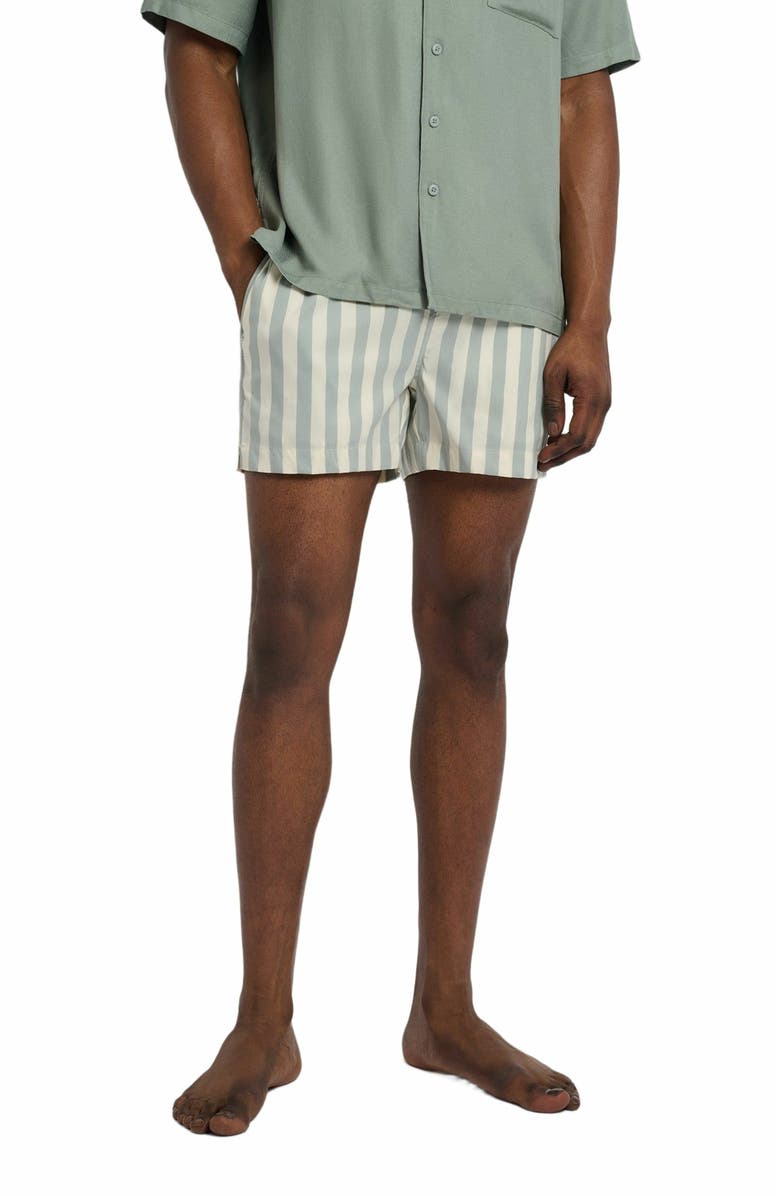Onia Charles 4" Swim Trunk, Alternate, color, Sage/Cream