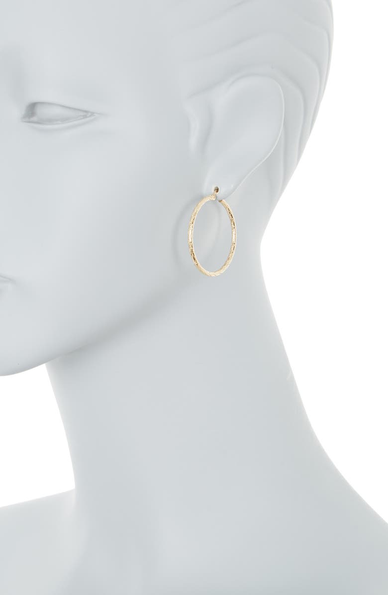 Ember Fine Jewelry 14K Gold Hoop Earrings, Alternate, color, Gold