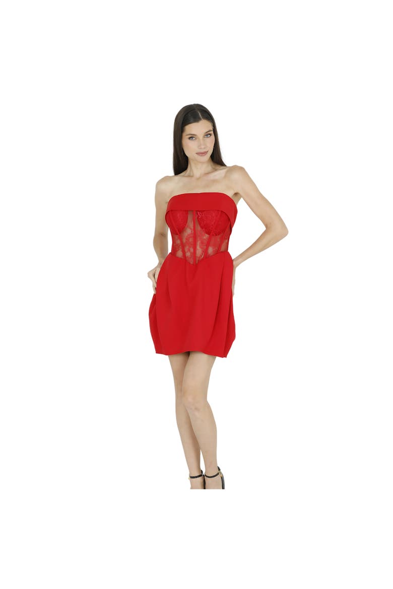 Daisy Strapless Lace Corset Dress, Alternate, color, RED