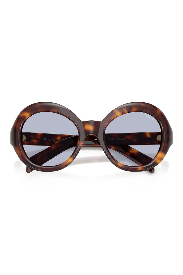 53mm Gradient Round Sunglasses, Alternate, color, CLASSIC TORTOISE / BLUE