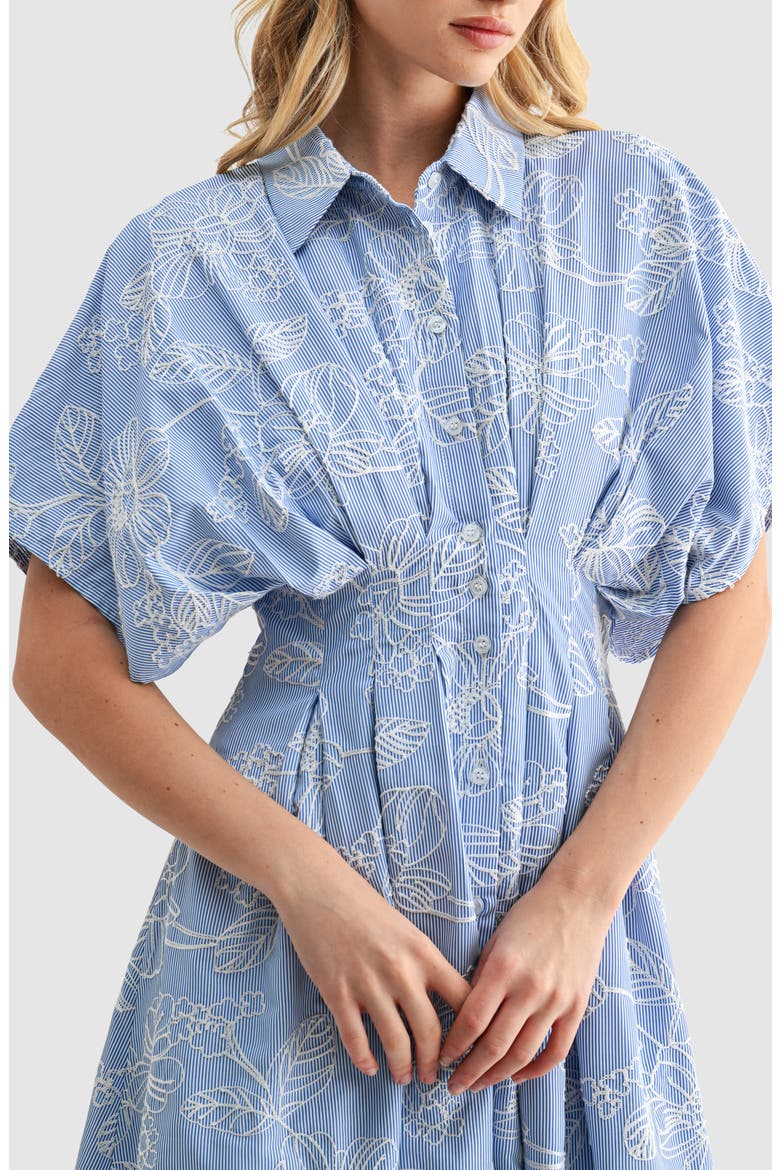 Embroidered Stripe Midi Shirtdress, Alternate, color, BLUE WHITE