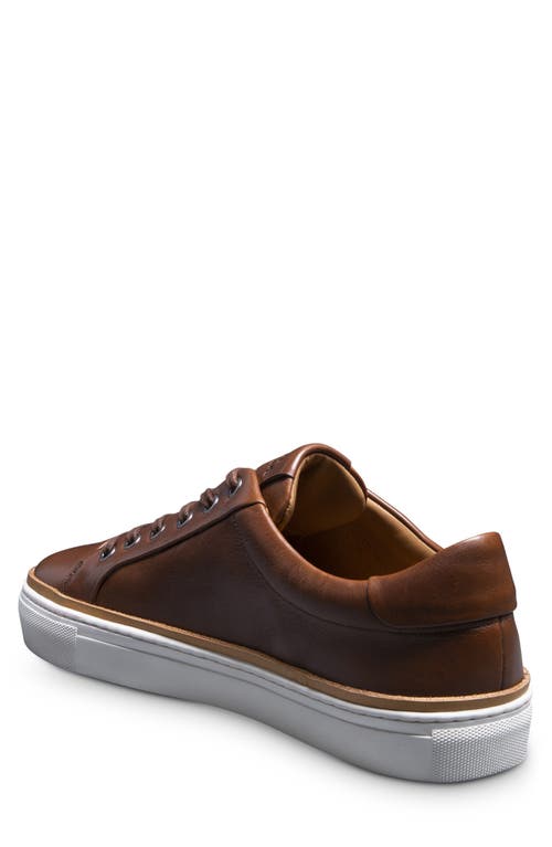Allen Edmonds Flynn Leather Sneaker