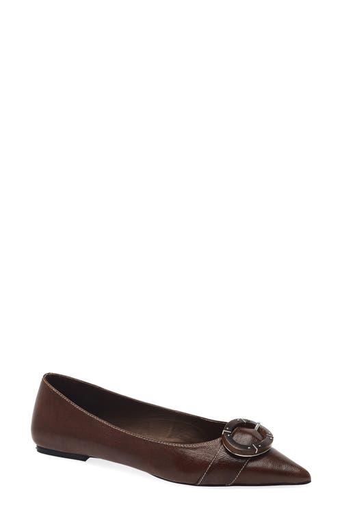 Jeffrey Campbell Punctual Pointed Toe Flat In Brown