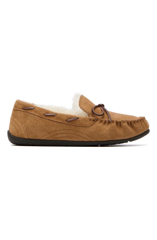 Abeo Amble Bow In Tan - Regular