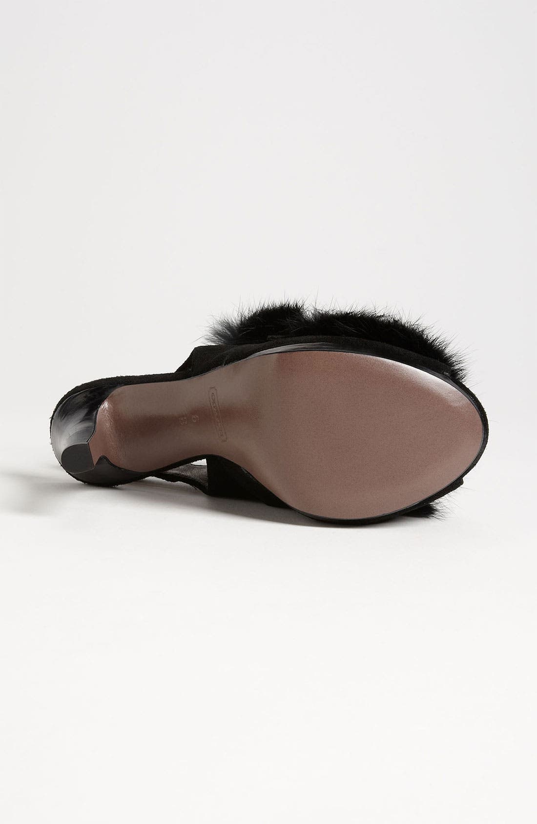 COACH , Alternate, color, 