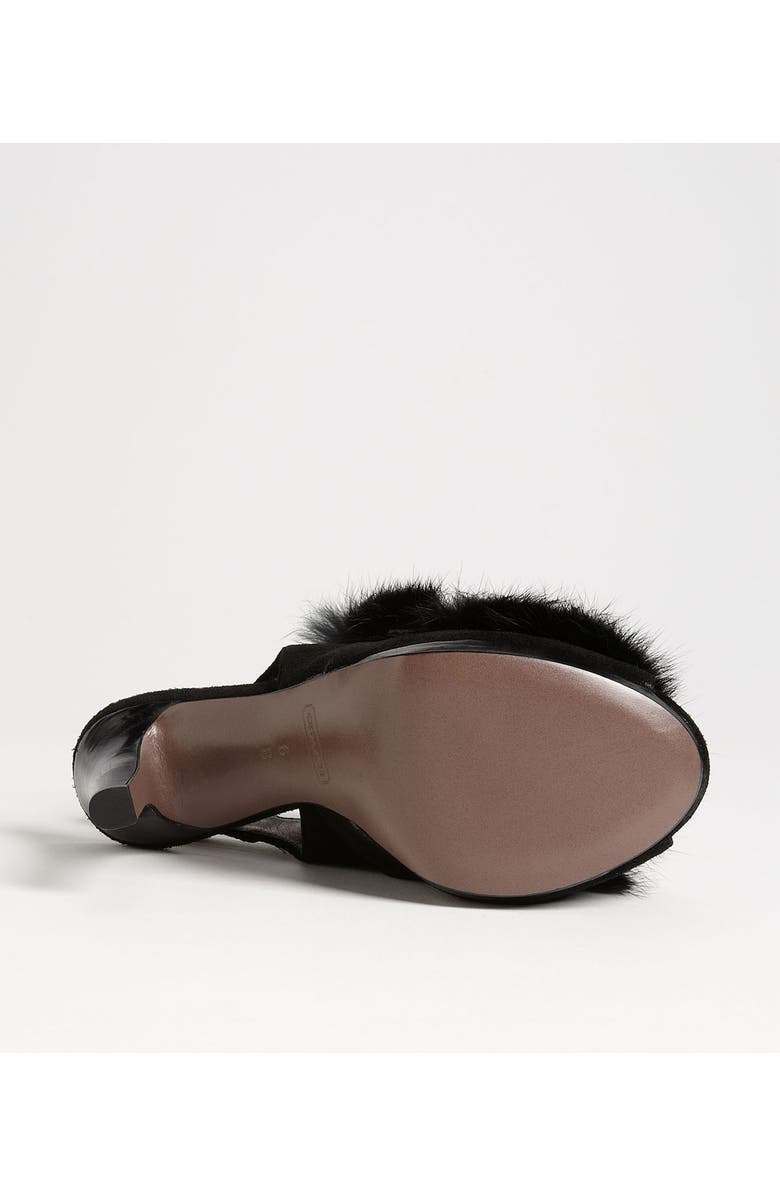 COACH , Alternate, color,