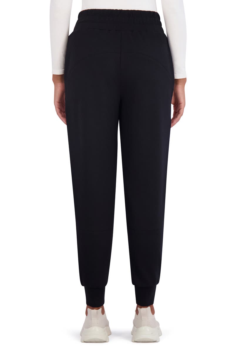 SAGE COLLECTIVE High Waist Joggers, Alternate, color,