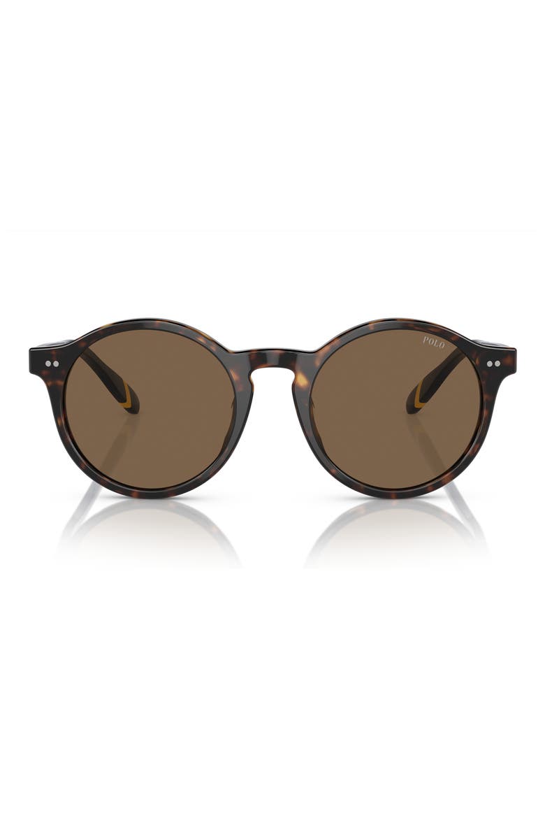 PH4204U 53mm Round Sunglasses, Main, color, SHINY DARK HAVANA / BROWN