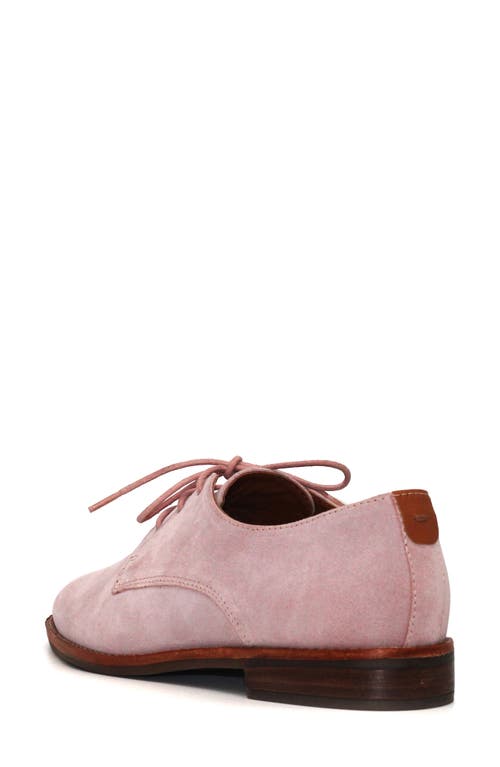 Gentle Souls Aronson Derby In Pink