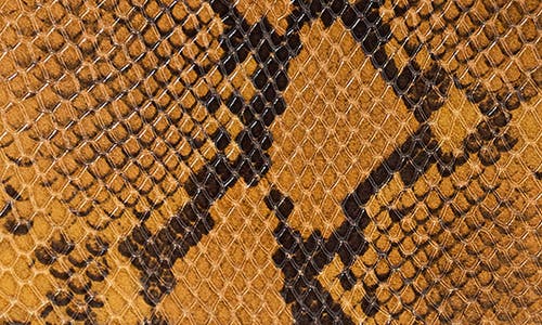 Staud Moon Snakeskin Embossed Leather Top Handle Tote In Brown