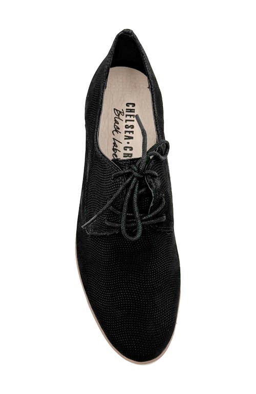 Chelsea Crew Buck Derby In Black Nubuck