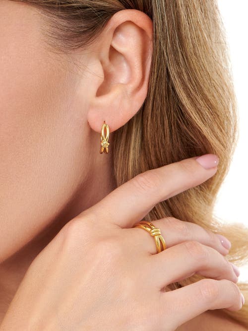 Devata Love Knot Hoop Earrings In Gold