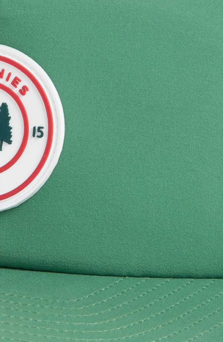 Swannies Balsam Snapback Baseball Cap, Alternate, color, Green