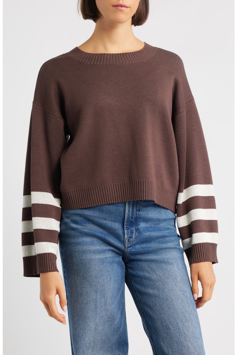 Crop Stripe Sleeve Sweater, Main, color, EARTH