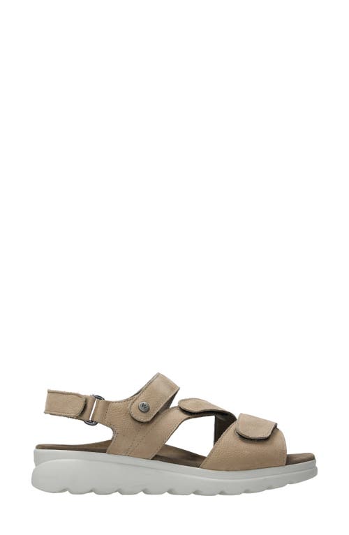 Wolky Ikaria Ankle Strap Platform Wedge Sandal In Beige Nubuck