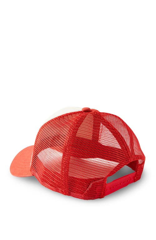 Cotton On Trucker Hat