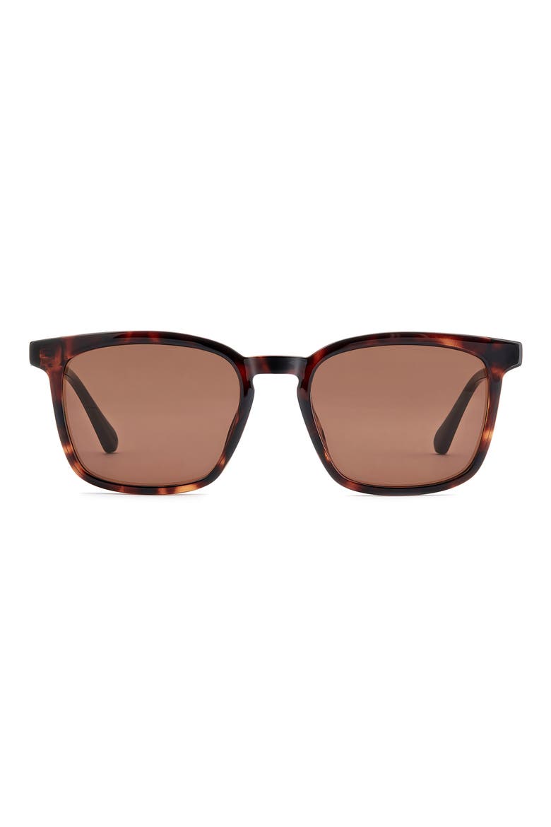 53mm Panthos Square Sunglasses, Main, color, HAVANA/ BROWN