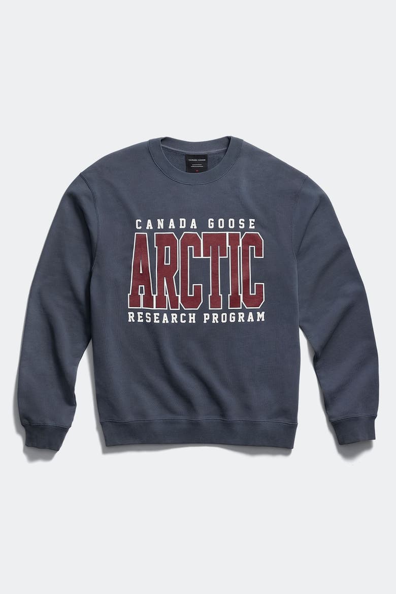 Loon Arctic Sweatshirt, Alternate, color, Dusk Blue