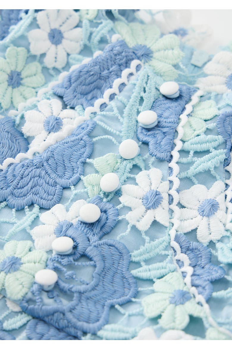 Jade Embroidered Mini Dress, Alternate, color, Powder Blue