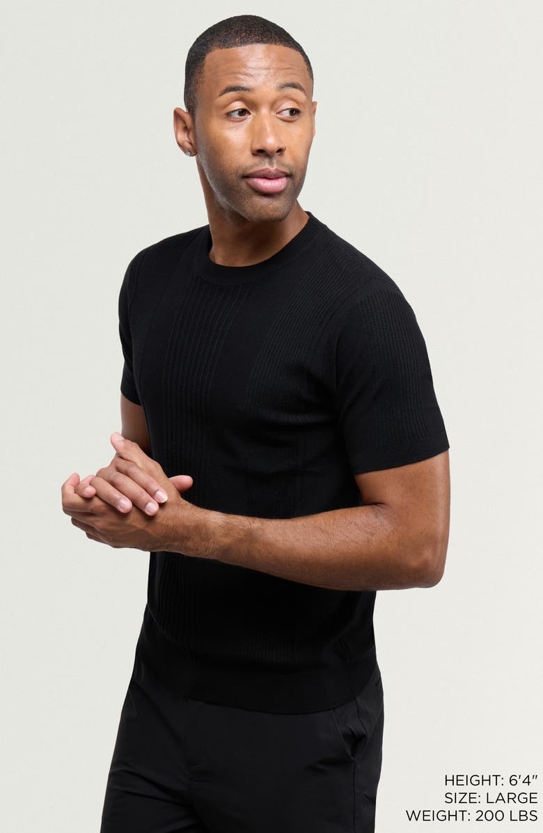 XRAY Stripe Short Sleeve Sweater, Alternate, color, Black