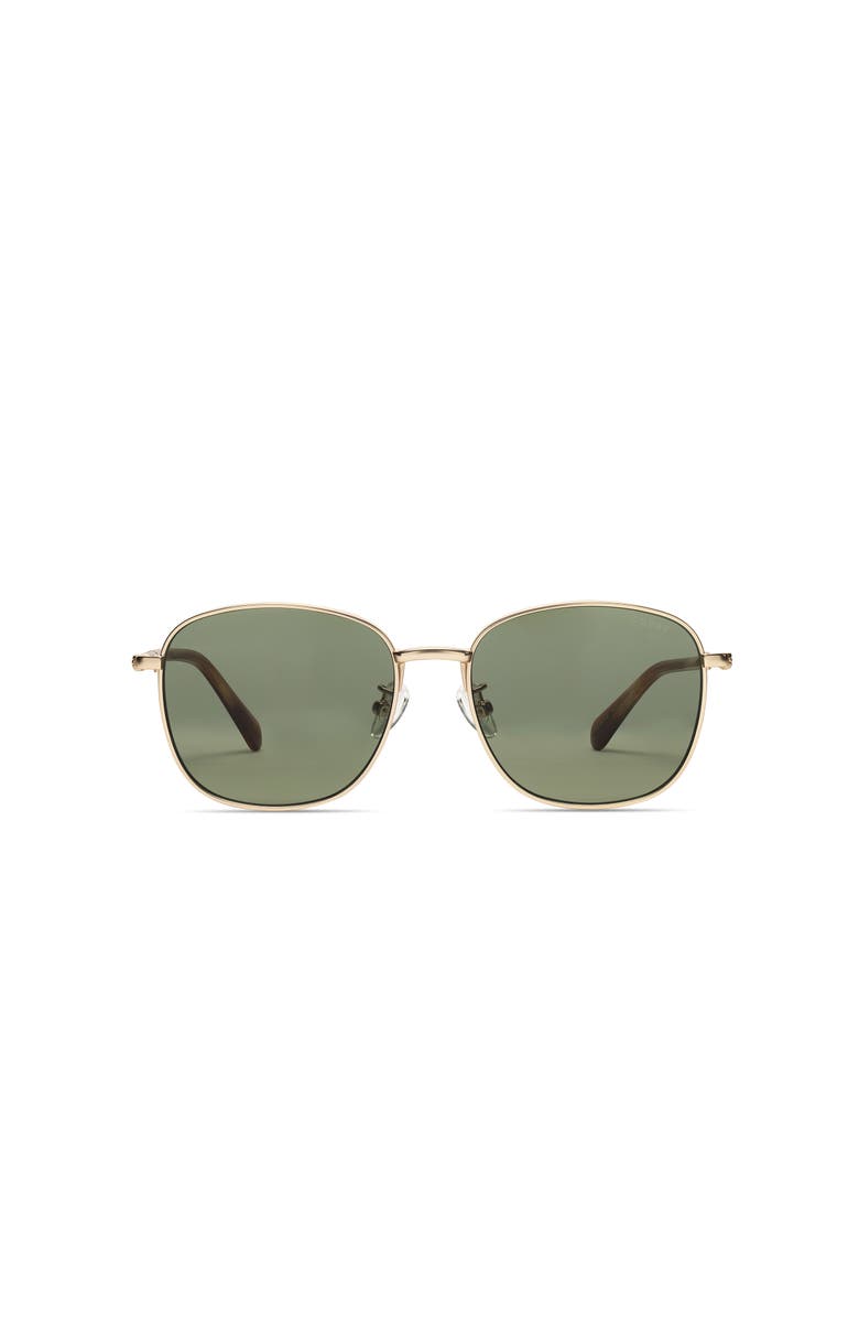 COVRY Nunki Sunglasses, Main, color, Thyme