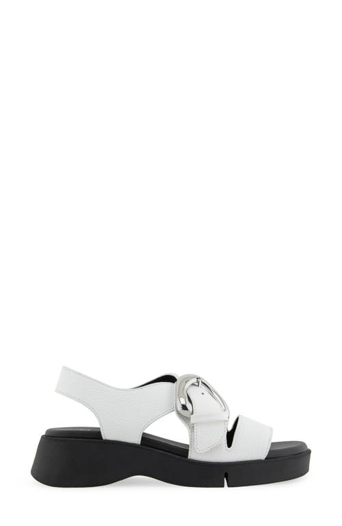 AEROSOLES AEROSOLES FEZ STRAPPY SANDAL