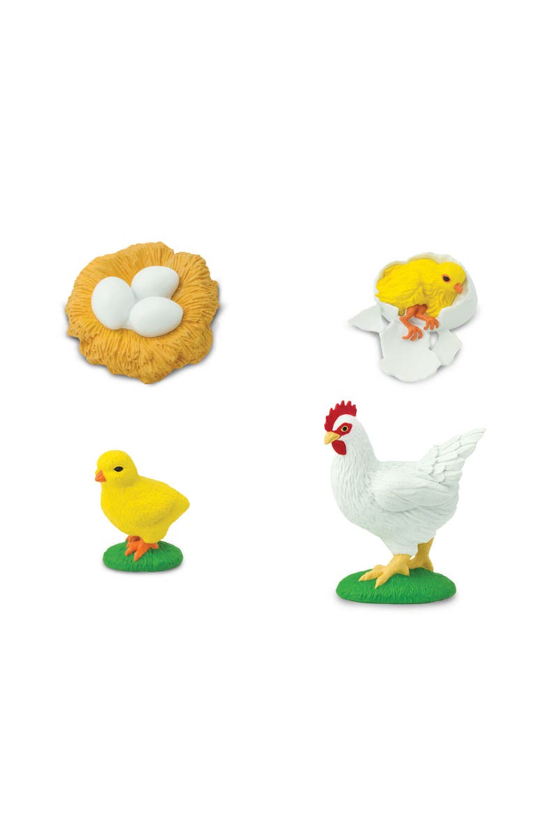 Safari Ltd. Life Cycle Of A Chicken, Alternate, color, NO COLOR
