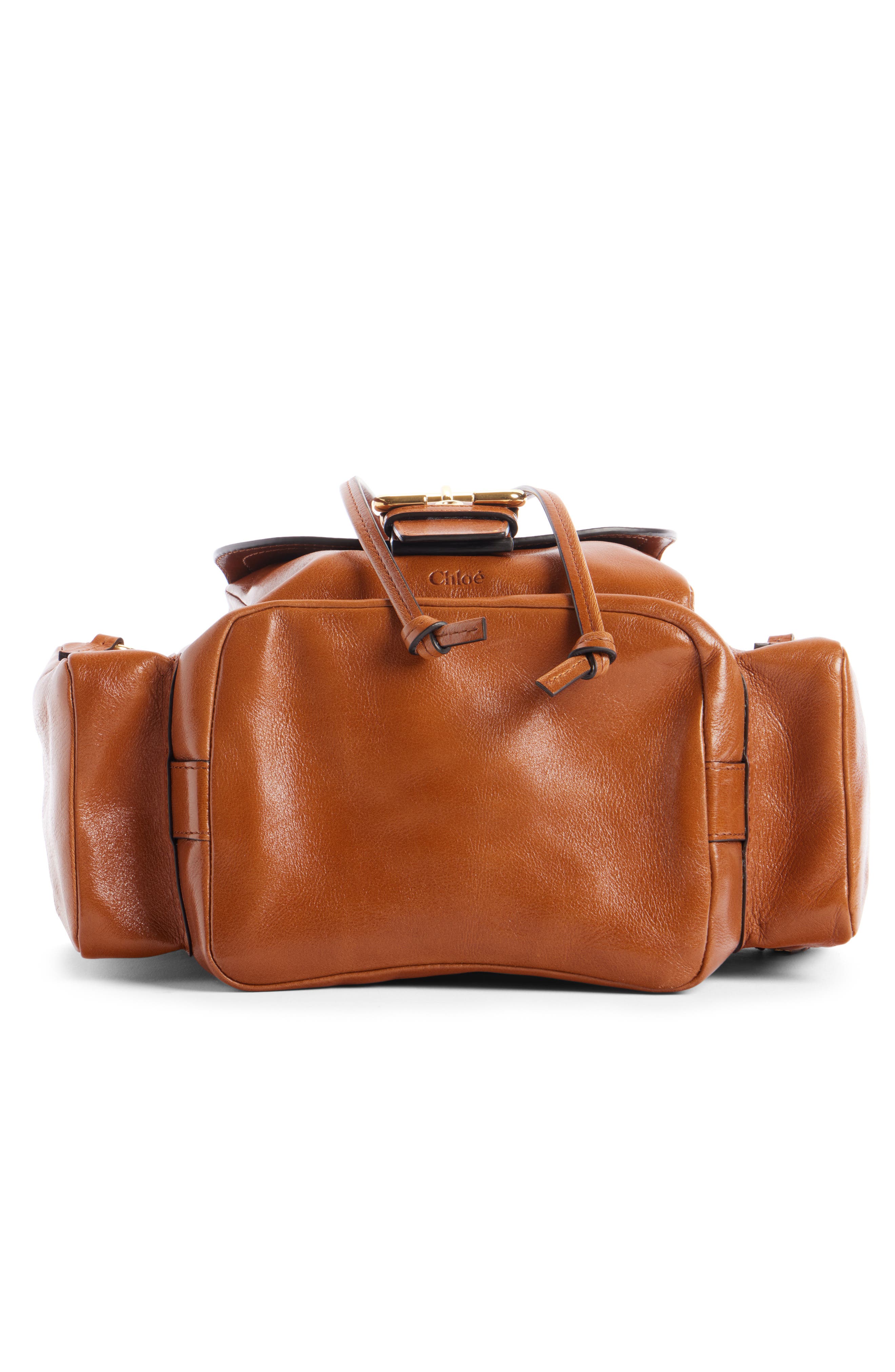 Camera Leather Bucket Bag, Alternate, color, CLAY BROWN